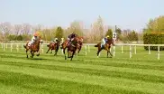 Galopp-Rennen auf der Rennbahn in Riem