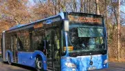 Buslinie 54 fährt durch den Englische Garten