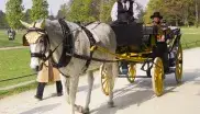 Pferdekutschfahrt im Englischen Garten