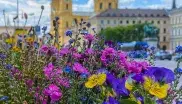 Blumen am Urban Gardening Schaugarten