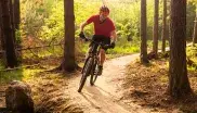 Mit dem Mountainbike durch den Wald