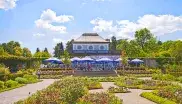 Im Sommer blüht es wunderschön im Botanischen Garten