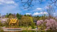 Die Thaisala im Westpark