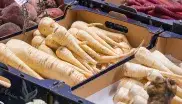 Frisches Gemüse auf dem Pasinger Viktualienmarkt