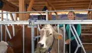 Landwirtschaftsfest