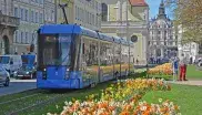 Tram 19 am Promenadeplatz im Frühling