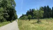 Radfahrer auf Weg im Forstenrieder Park